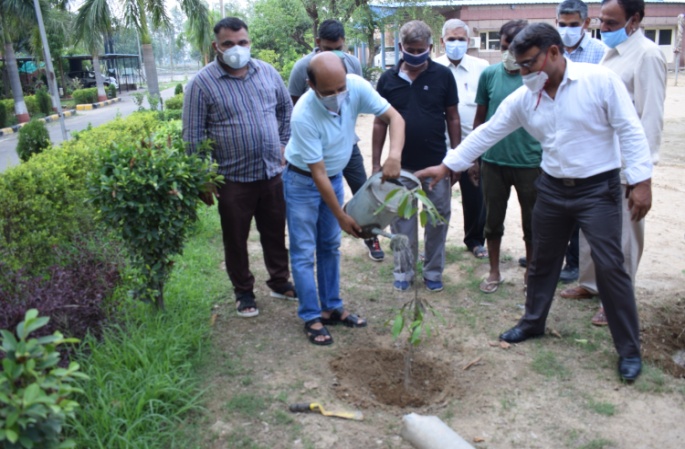 Plantation Drive on ICAR’s 93rd Foundation Day-23-7-2021